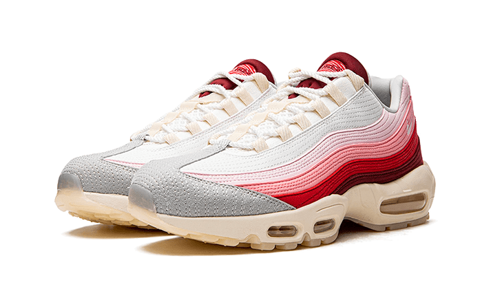 Air Max 95 Anatomy of Air