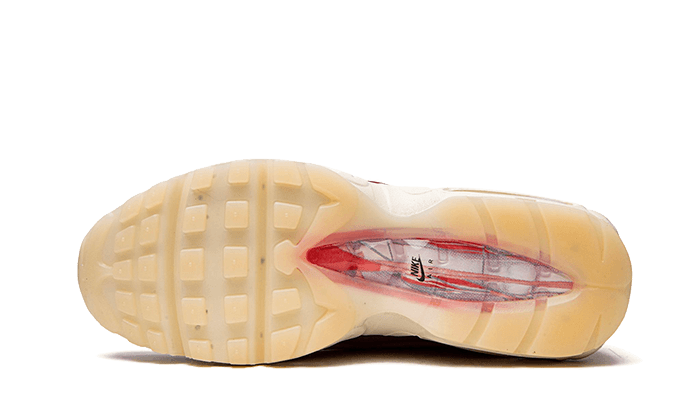 Air Max 95 Anatomy of Air