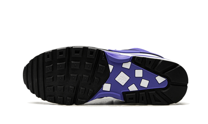 Air Max BW Persian Violet