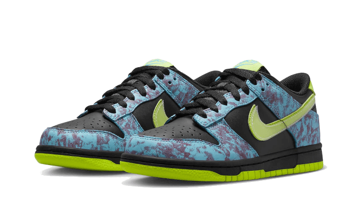 Dunk Low Acid Wash