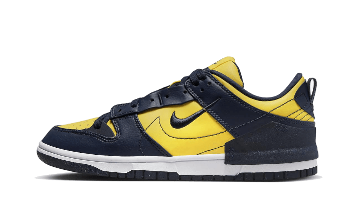 Dunk Low Disrupt 2 Michigan