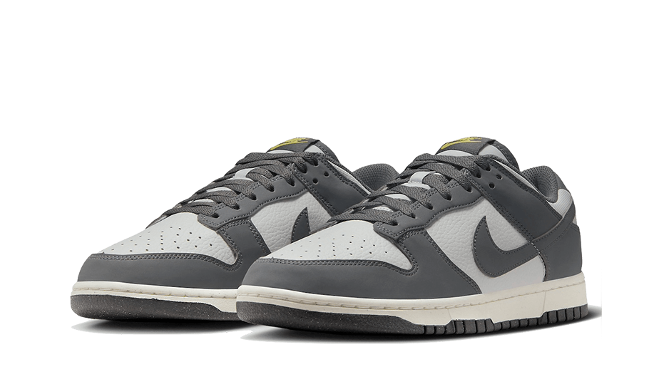 Nike Dunk Low Next Nature Iron Grey Lightning - FZ4621-001