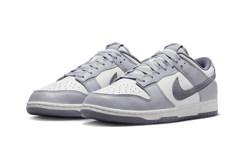 Nike Dunk Low SE Light Carbon - FJ4188-100 / FB9109-101