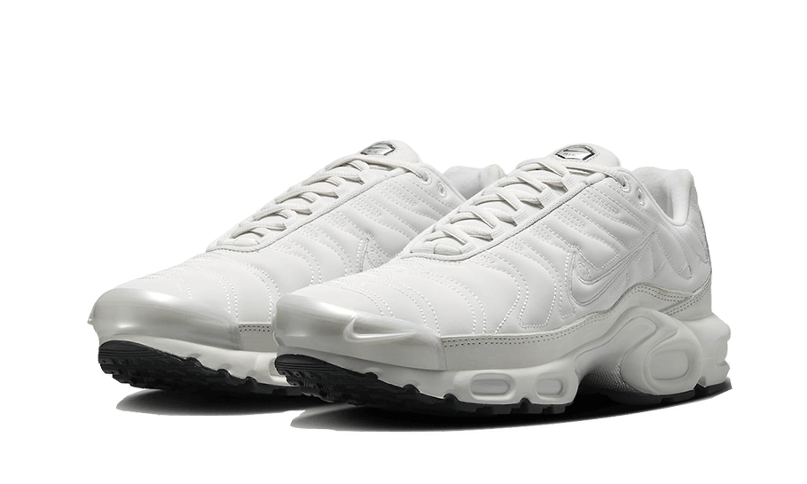 Nike Air Max Plus Reflective Platinum - FZ4342-001